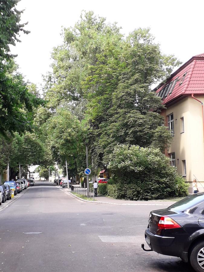 Kodály Apartman Eger Esterno foto