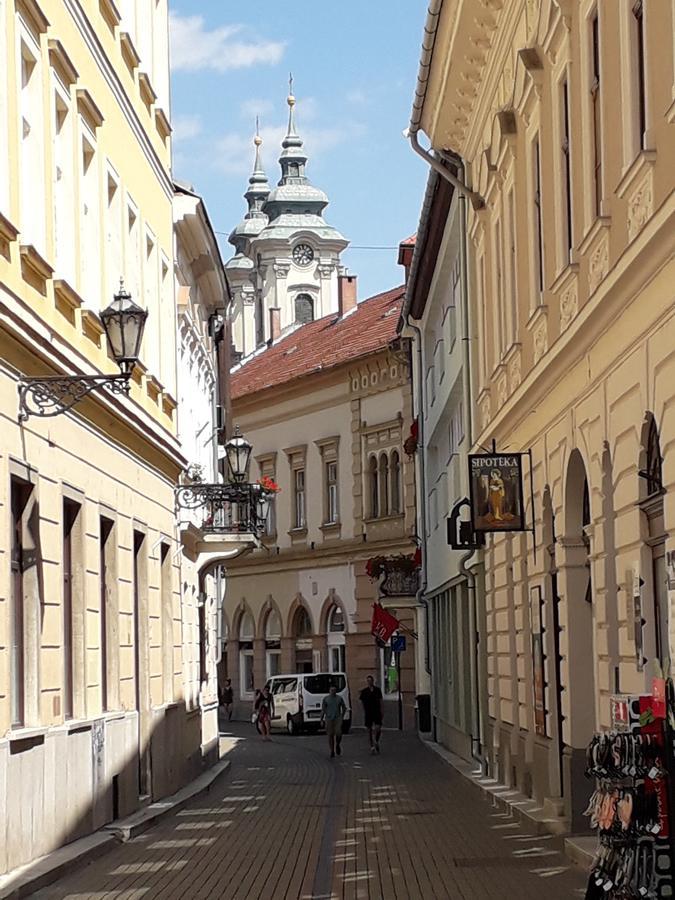 Kodály Apartman Eger Esterno foto